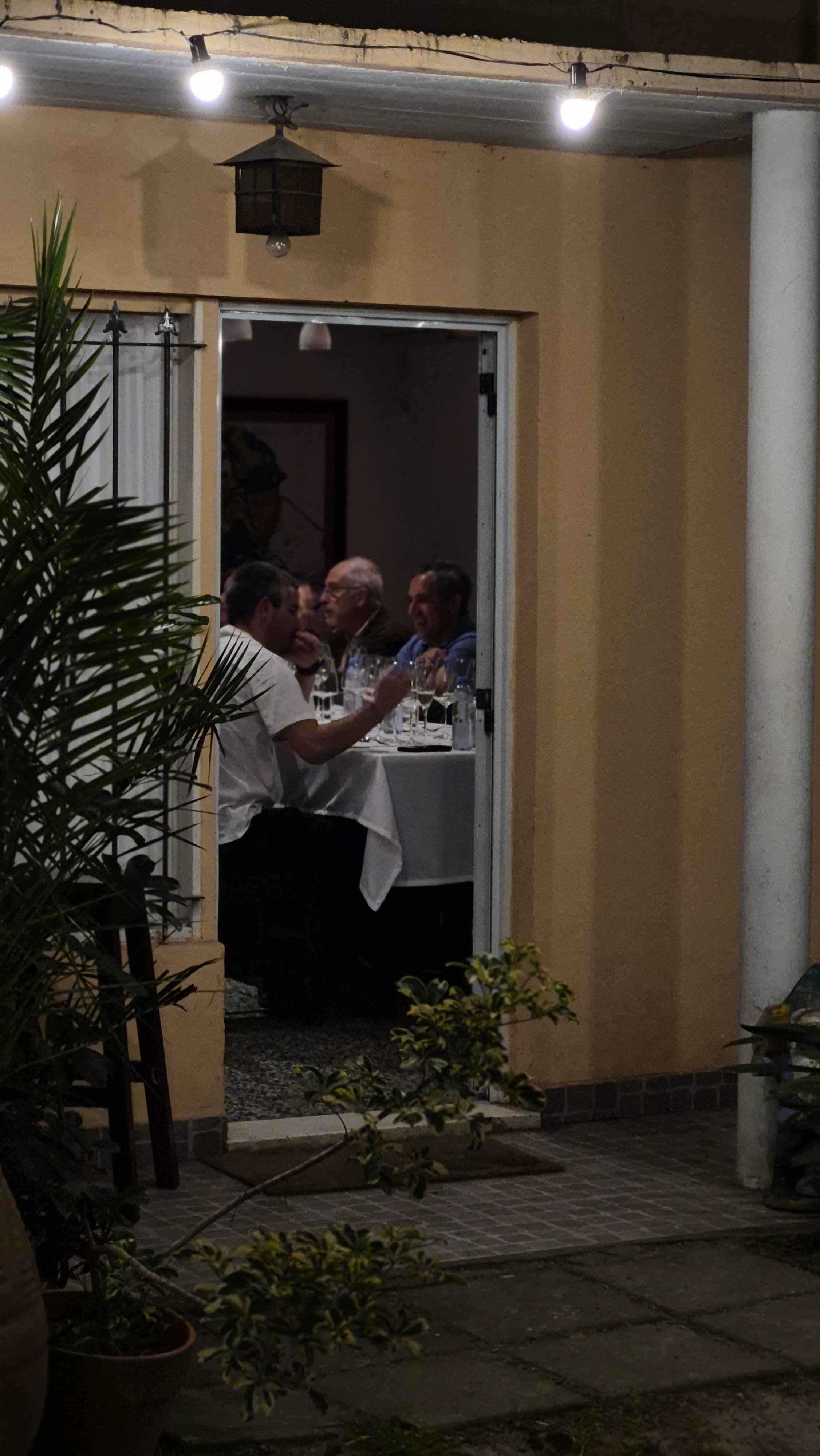 Buena Vitis Social Club